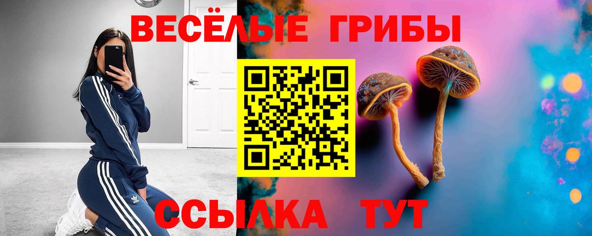 Галлюциногенные грибы ЛСД Кировск
